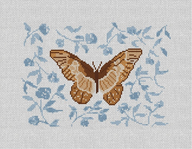CM135 Tan Butterfly with blue background