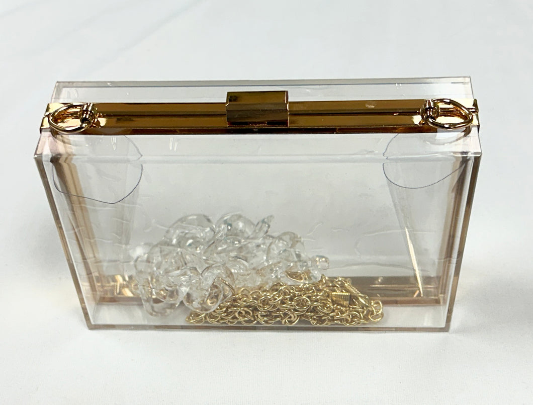 Acrylic Purse, Rectangle