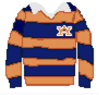 Auburn Rugby Sweater