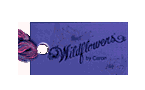CC wildflowers (217-312)