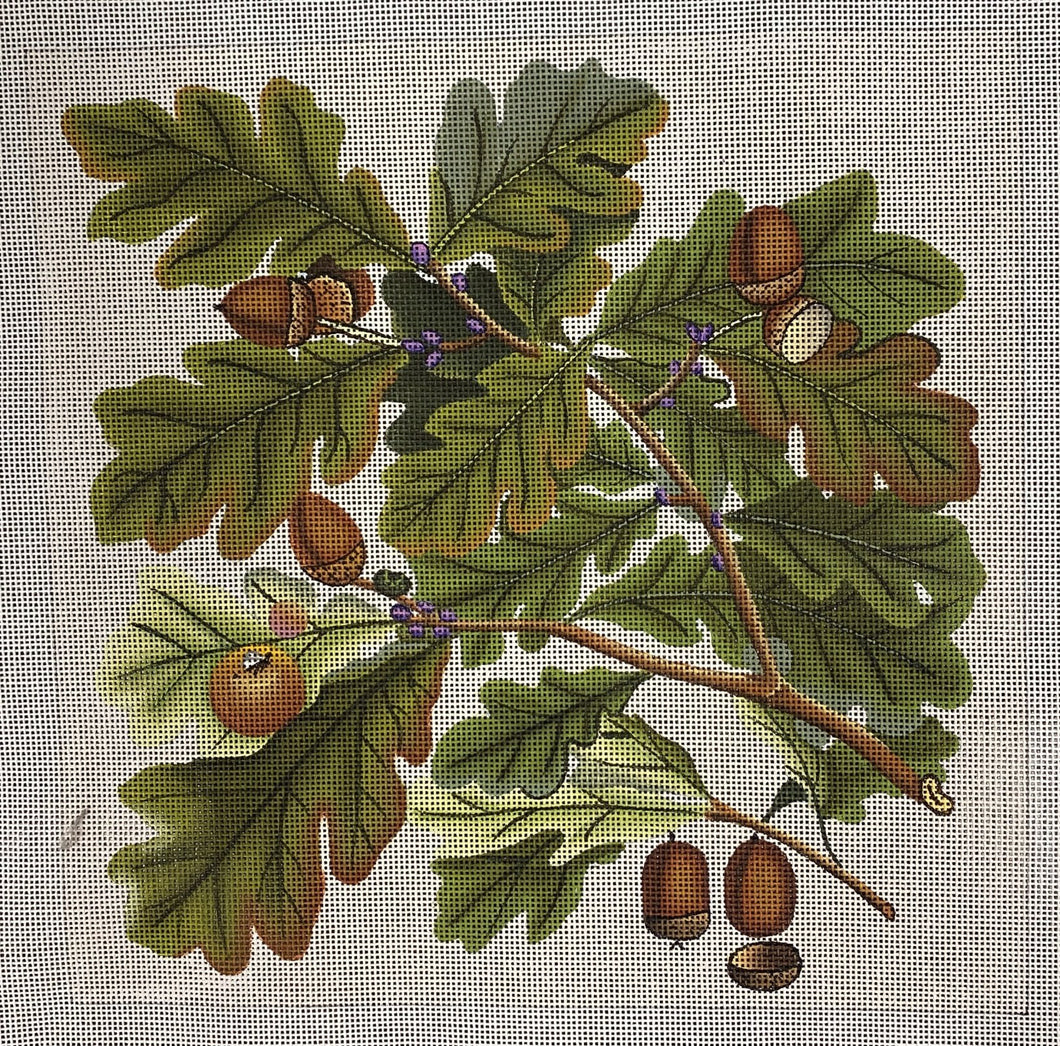 oak leaves & acorns