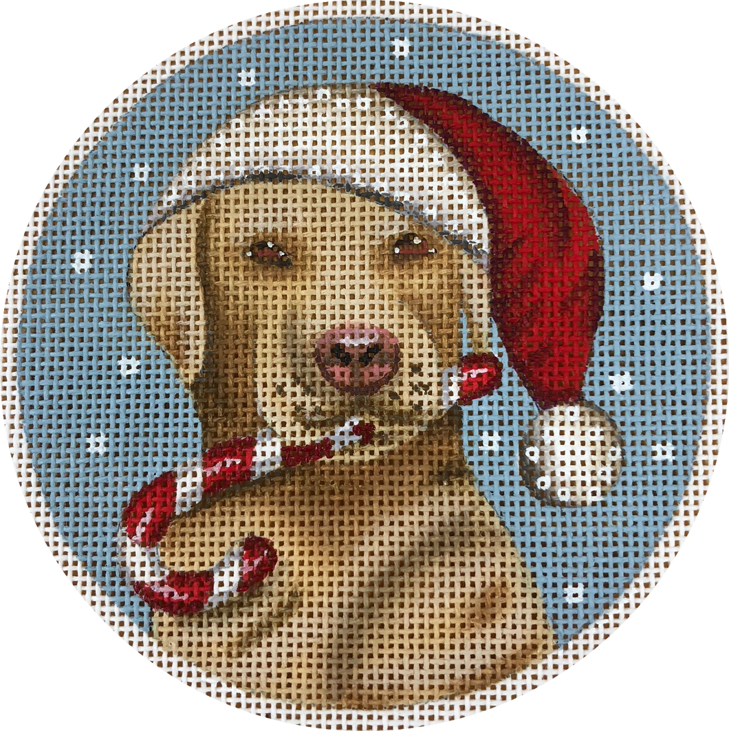 santa yellow lab