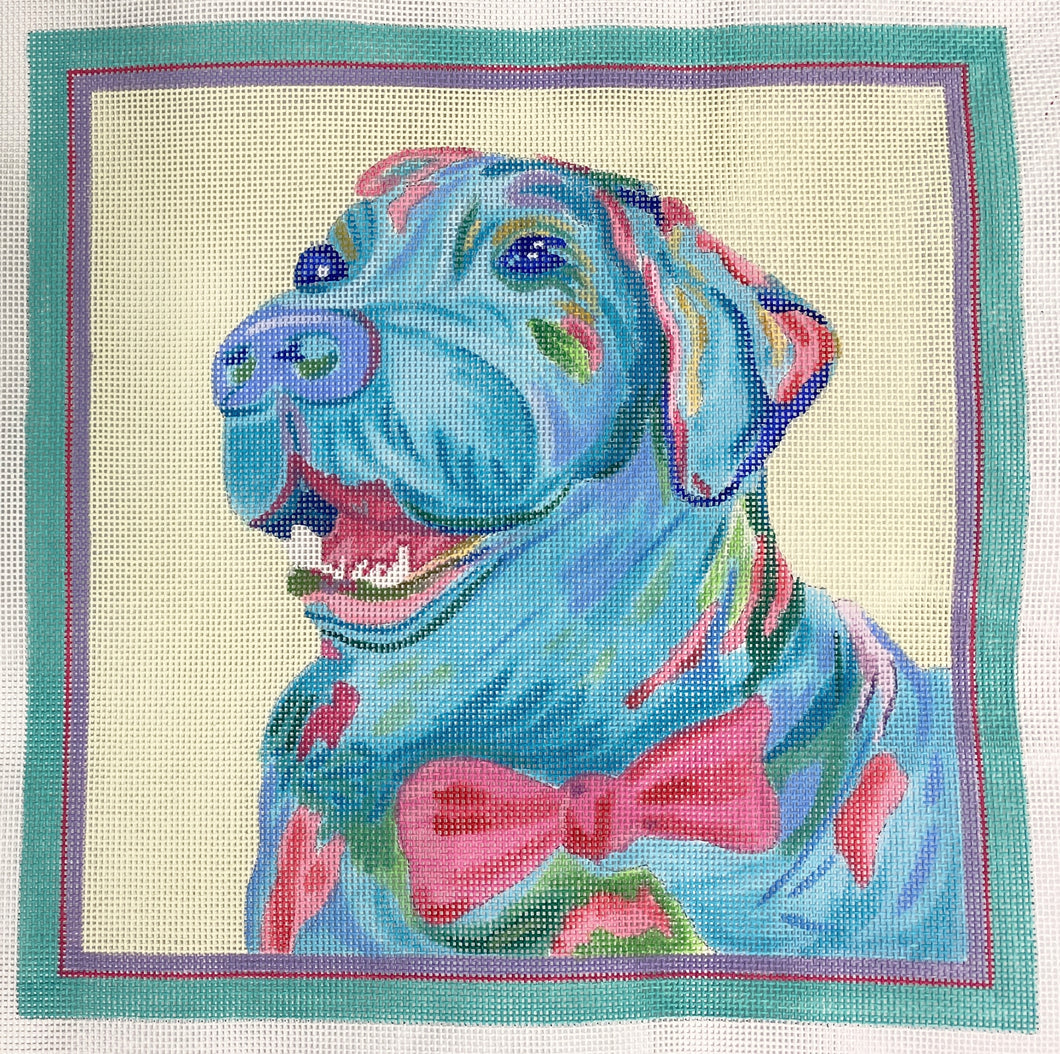 blue lab with bowtie