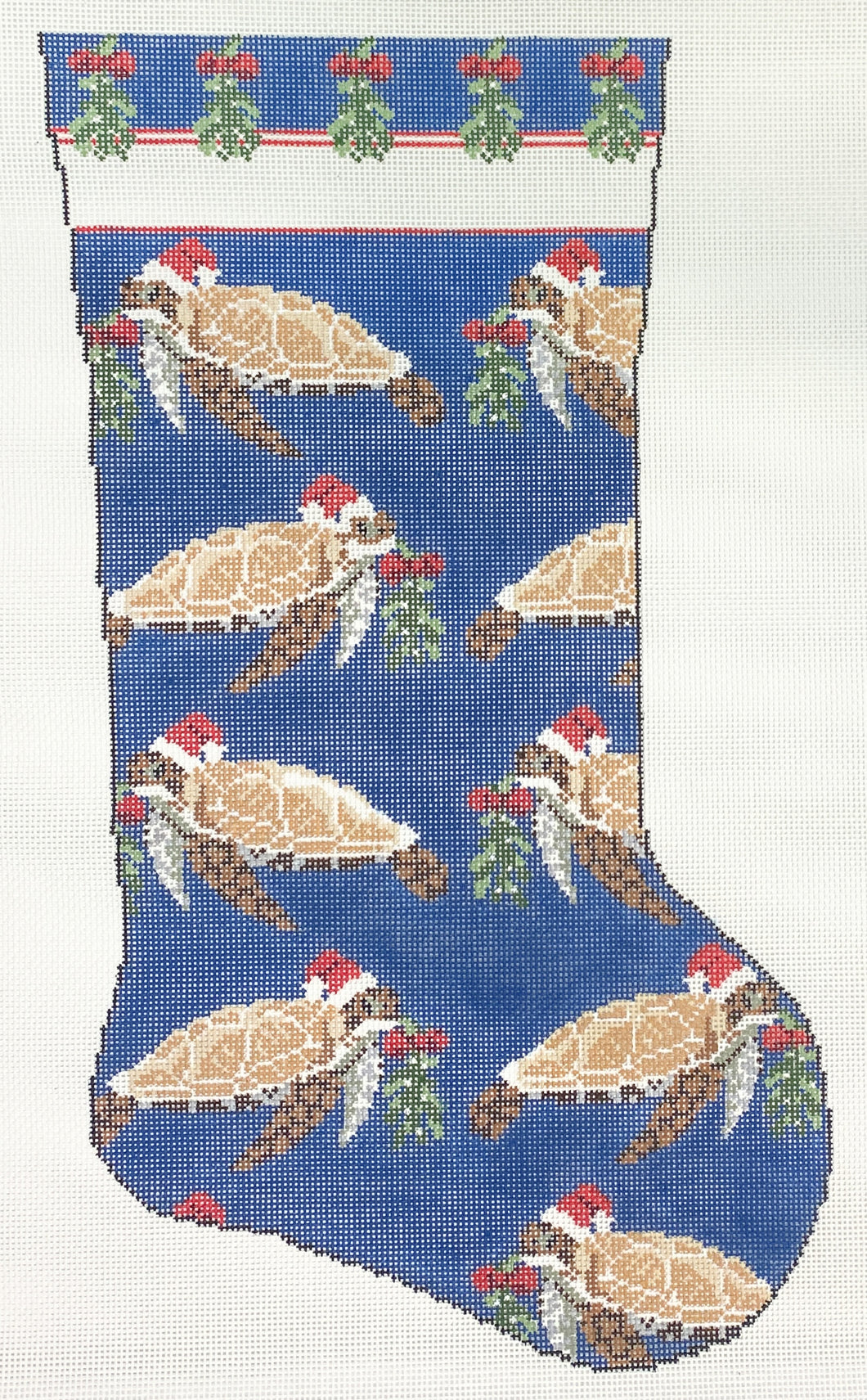 sea turtle stocking