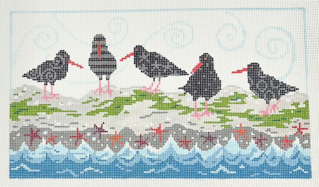 oyster catchers