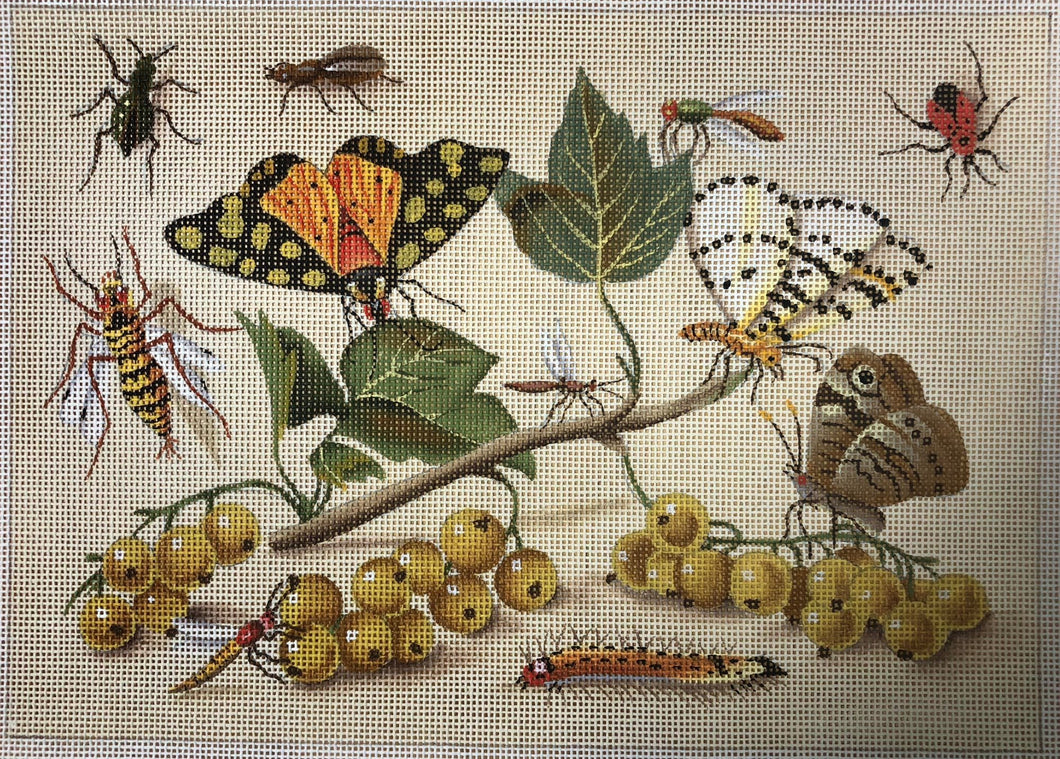 currants & butterflys