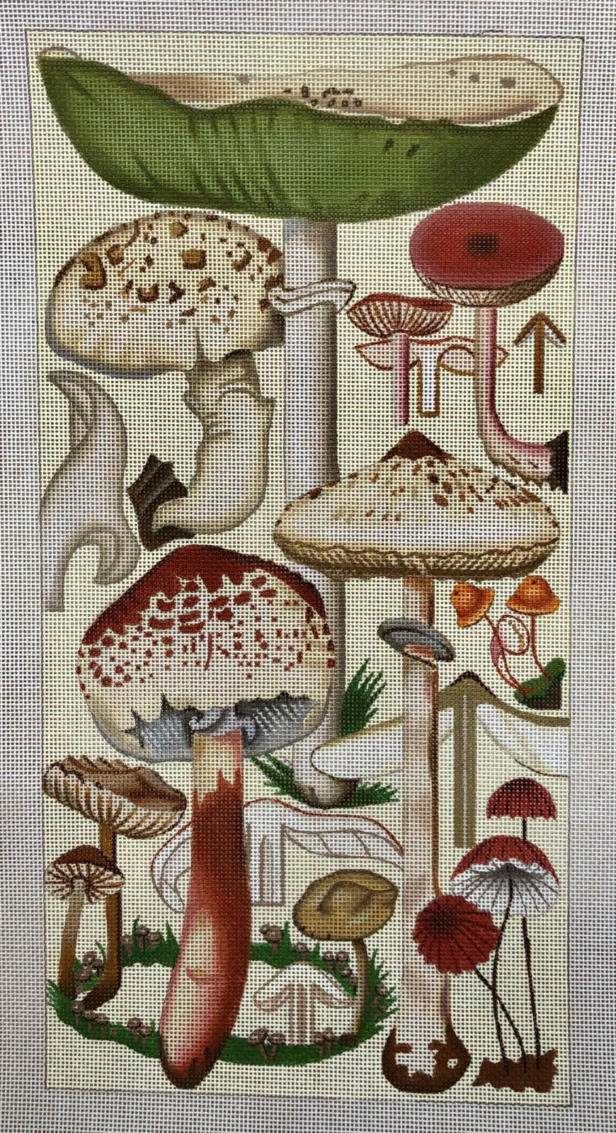 mushrooms, green