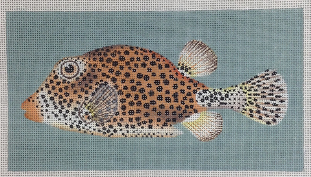 spotted fancy fish