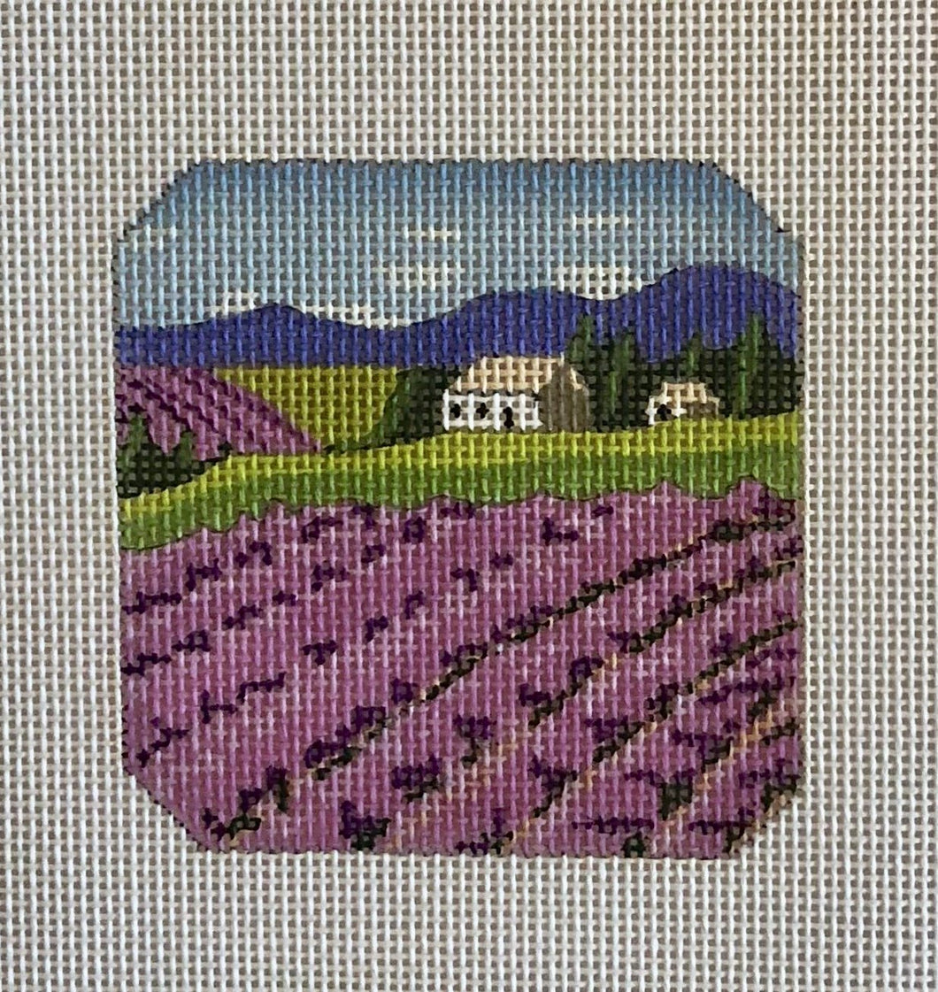 lavender field