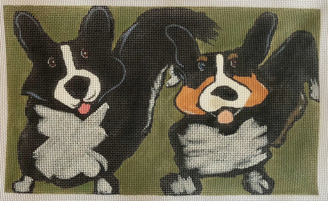 two corgi dogs