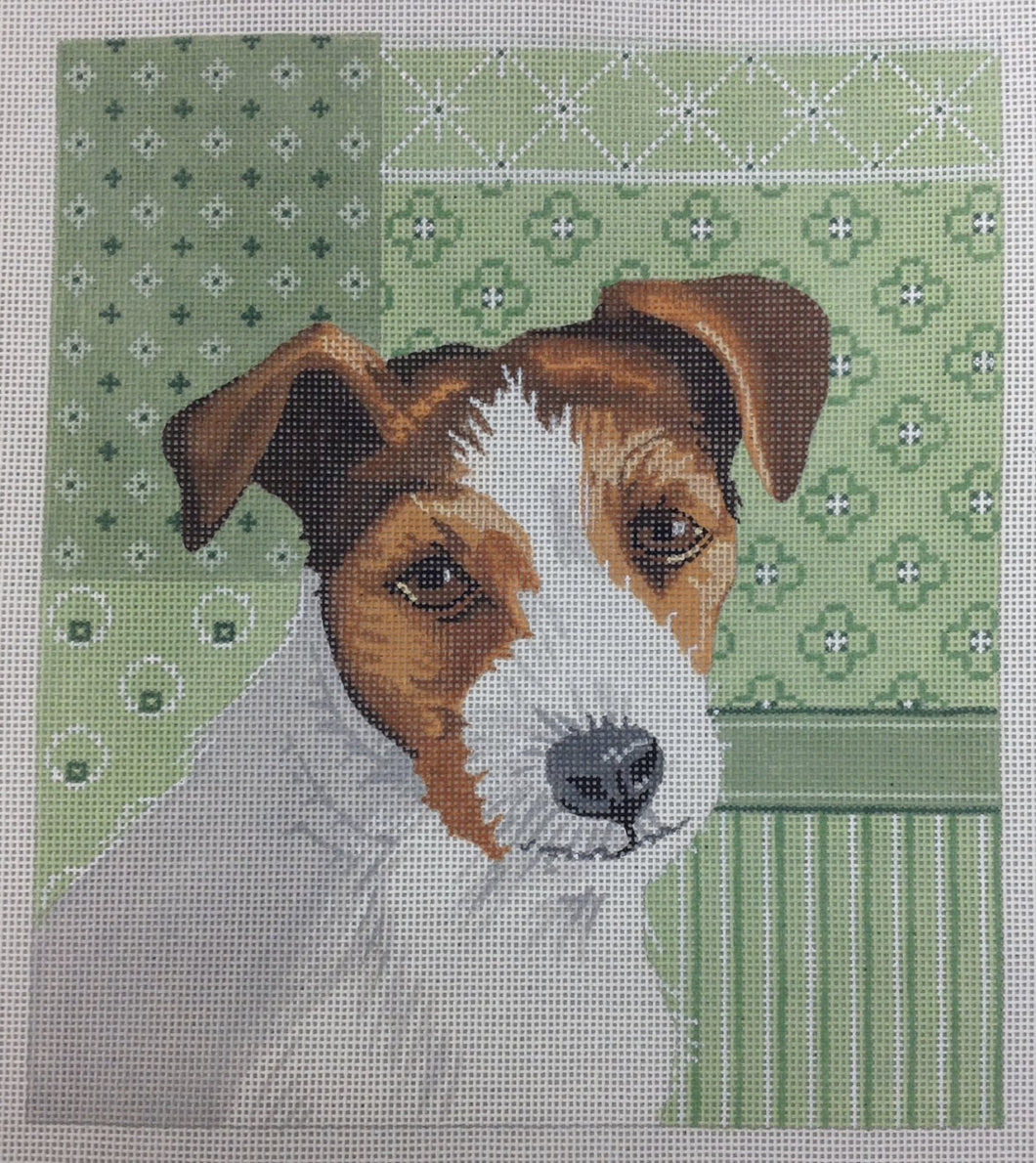 jack russell*