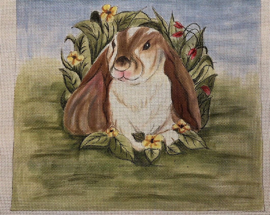 felicity, the bunny