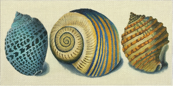 three shells, blue spots