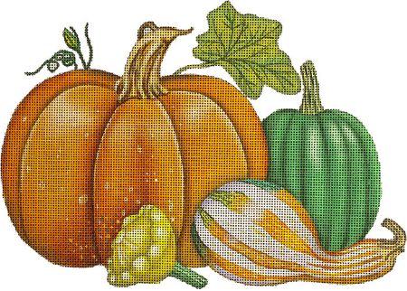 squash