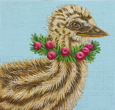 baby emu